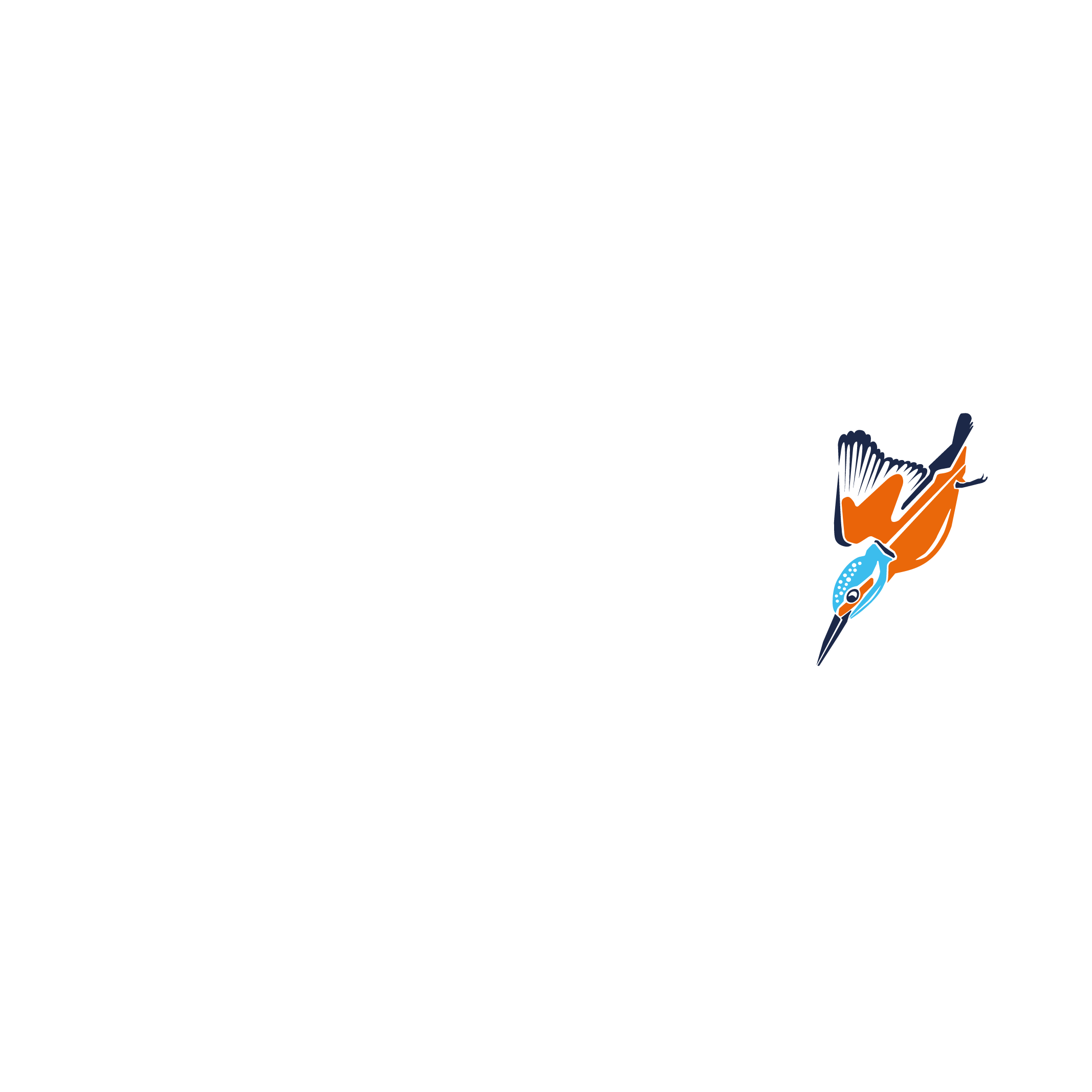 CNC-STEP